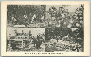 EXAGGERATED FARMING ANTIQUE POSTCARD