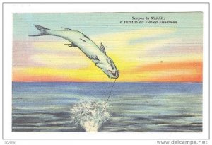 Tarpon In Mid-Air, A Thrill To All Florida Fisherman, 1930-1940s