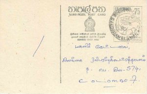 Entier Postal Stationery Postal Sri Lanka Ceylon Lion