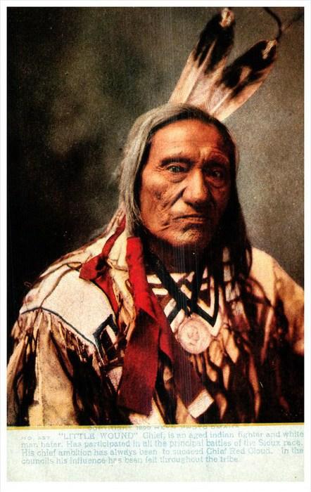 11230 Native American Indian  Chief Little Wound