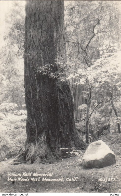 RP: William Kent Memorial , MUIR Woods , California , 30-40s ; ZAN f257