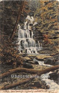 Fish Cabin Falls - Barryville, New York NY Postcard