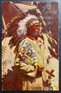 Mint USA Color Picture Postcard Native American Indian Chief Running Horse