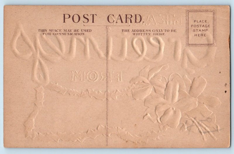 Ames Iowa IA Postcard Hearty Greetings Embossed Flowers Leaves c1910's Antique