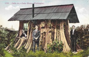 Cabin in a Cedar Stump Washington