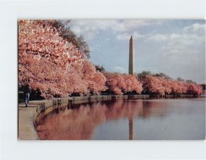 Postcard The Washington Monument, Washington, District of Columbia