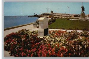 Postcard~Memorial Park..Bridge~Clearwater,Florida/FL
