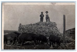 RPPC Photo Postcard Children on Farm Corn Husks Pig c1910 Antique Posted