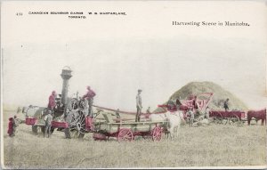 Harvesting Scene in Manitoba Farming Farm Workers Tractor Machinery Postcard H4