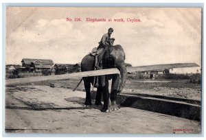 Sri Lanka Postcard Elephants at Work Men Riding Scene c1910 Unposted