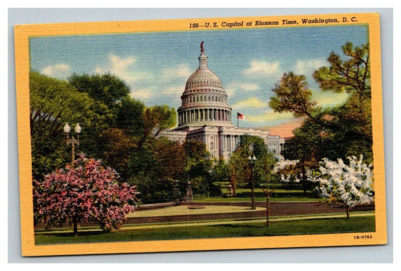 Vintage 1930's Postcard U.S. Capitol Building Cherry Blossoms Washington DC