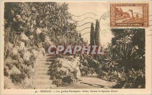 MONACO Old Post Card The Gardens Exoliques- Aloes Cereus and Opuntia various