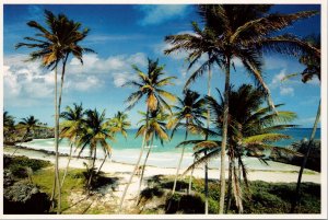 Barbados Postcard PC552