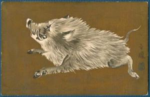 Wild Boar - Japan Art - 1911
