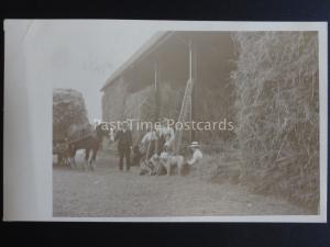 Farming GATHERING THE HAY - HAY CART & BARN c1914 Old RP Postcard