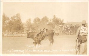 Sharkey the Bucking Bull Real Photo - Pendleton, Oregon OR  