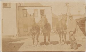 Man w/ Horses Southampton Ontario ON Unused Real Photo Postcard E66