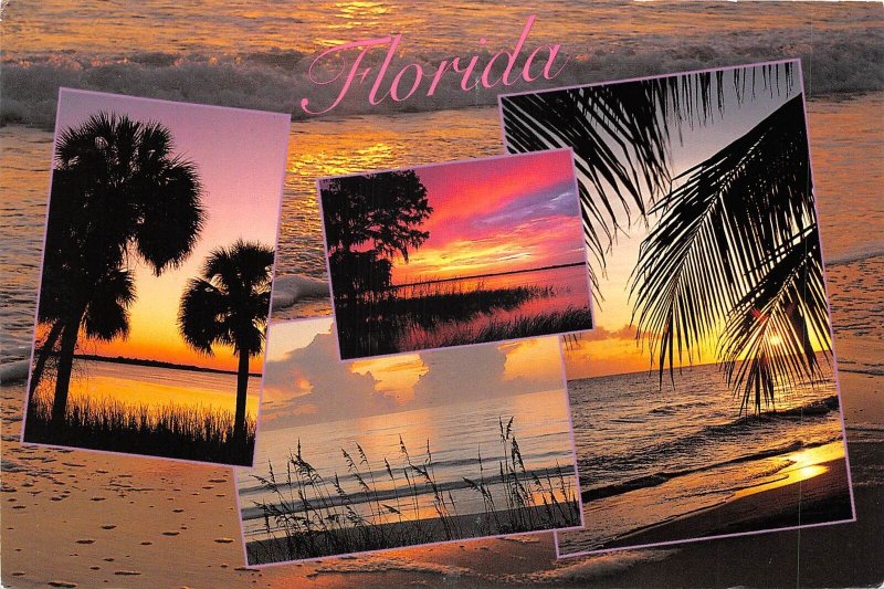 US10 USA FL Florida sunsets and sunrises multi view