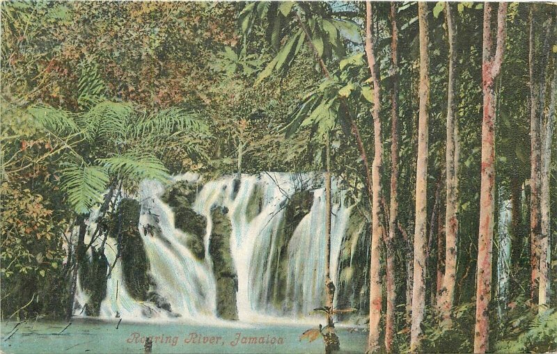 Postcard C-1910 Jamaica Roaring River Waterfalls 23-3209