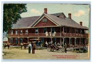 1912 Alpine House Olmstedville Adirondacks New York NY Posted Hotel Postcard