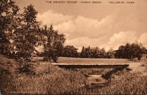 Massachusetts Wellesley The Meadow Bridge Over Wavan Brook Albertype