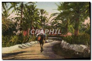 Old Postcard Road In & # 39Oasis Camel