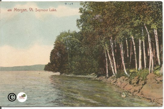 Morgan Vt. Seymour Lake 1910 Vintage Postcard Antique Postcard Old Postcard 100