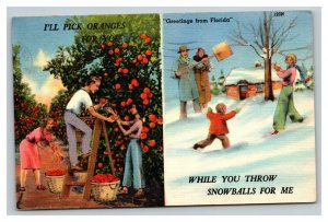 Vintage 1961 Postcard Winter in Sunny Florida While Snows in the North - Funny