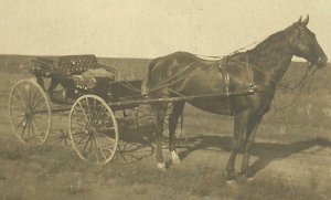 Wolseley SASKATCHEWAN CANADA RP 1914 HARNESS RACING Horse Darky Race ADVERTISING