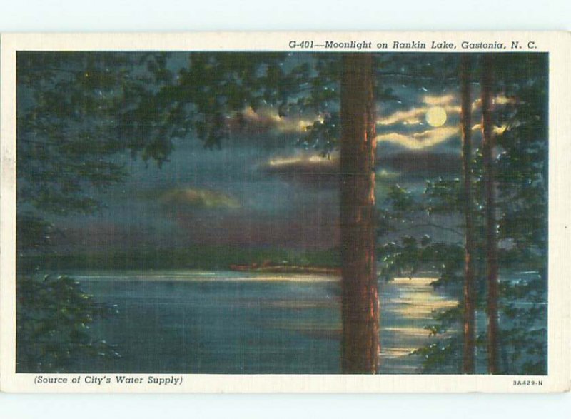 Linen LAKE SCENE Gastonia - Near Charlotte North Carolina NC AE4581