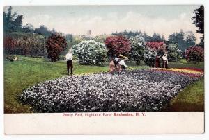 Pansy Bed, Highland Park, Rochester NY