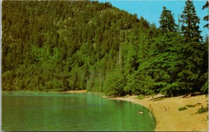 Cameron Lake near Port Alberni BC Vancouver Island Unused Vintage Postcard G4