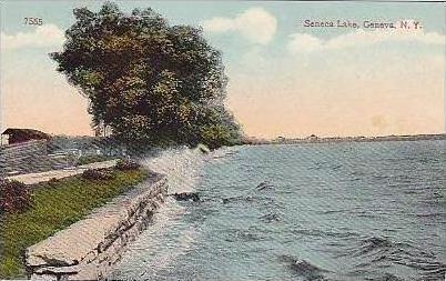 New York Geneva Seneca Lake Shoreline