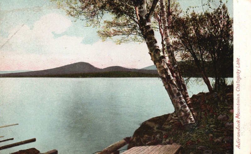 Vintage Postcard 1900's Adirondacks Mountains Chataguay Lake New York NY