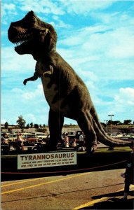 Giant Dinosaur Tracks Tyrannosaurus Paluxy River Glen Rose TX Vtg Postcard F73