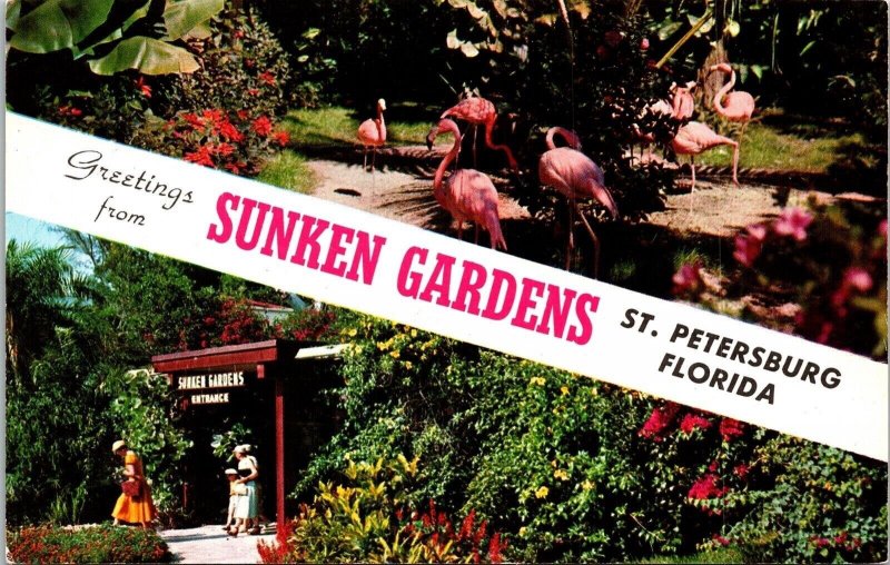 Greetings From Sunken Gardens St Petersburg FL Florida Dual View Postcard UNP 