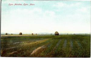 Scenic View of Lynn Marshes, Lynn MA Vintage Postcard O15