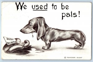 1909 Dachshund Dog We Used To Be Pals Best Bologna Famoss Bellevue NE Postcard