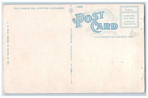 c1920's Hotel Martin Exterior Roadside Utica New York NY Unposted Flag Postcard