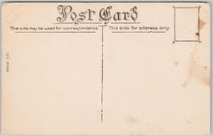 Cutting Cabbage Exaggeration Alfred Stanley Johnson Litho Postcard H70a *as is