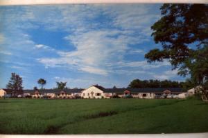 1950's Unused OLD CARS AT PENOBSCOT BAY MOTEL in Belfast Maine ME postcard y2568