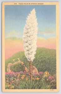 Mt Lowe California~Yucca Palm~aka Our Lord's Candle Or Spanish Bayonet~Linen PC