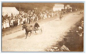 1913 Horse Harness Racing Harvest Festival Hart MI RPPC Photo Unposted Postcard 