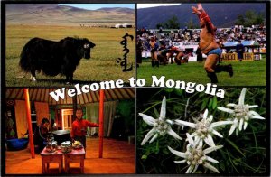 East Asia,  WELCOME TO MONGOLIA  Sport~Child~Animal~Plant Scenes  4X6 Postcard