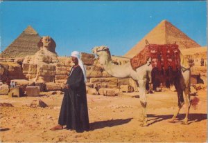 Egypt Postcard - Giza, Camel Driver Near The Phinx & Khafre Pyramid  RR19719