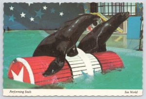 Animal~Performing Seals Have Barrel Of Fun~Sea World~Orlando FL~Continental PC