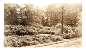 Sunny Garden at Union College Black and White RPPC Postcard