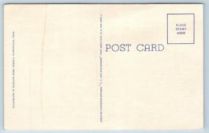 Postcard KY TN Camp Campbell Large Letter Greetings Vintage Linen Rare View L18