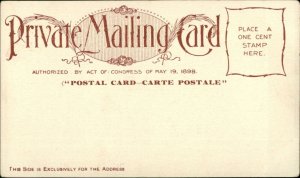Washington DC Pennsylvania Ave Arthur Livingston 1890s Private Mailing Card