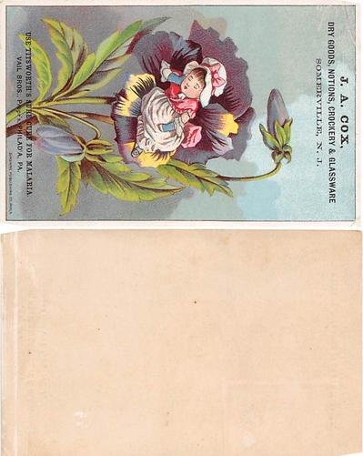 Trade Card, Tradecard  approx size inches = 3.5 x 5.25 